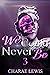 We Could Never Be 3: The Fi...