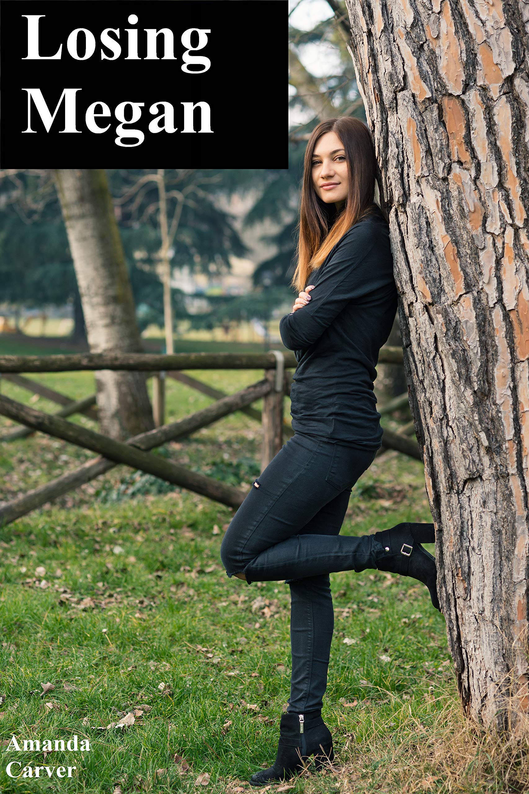 Losing Megan (Kindle Edition)