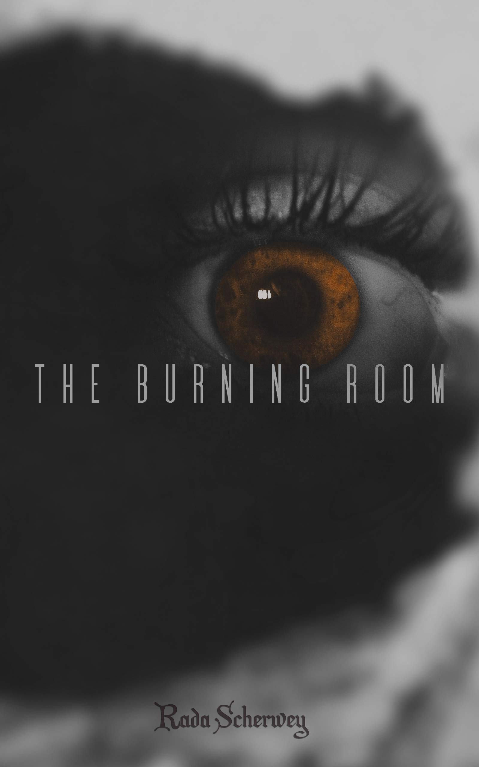The Burning Room (Kindle Edition)