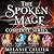 The Spoken Mage: Complete Series (The Spoken Mage #1-4)