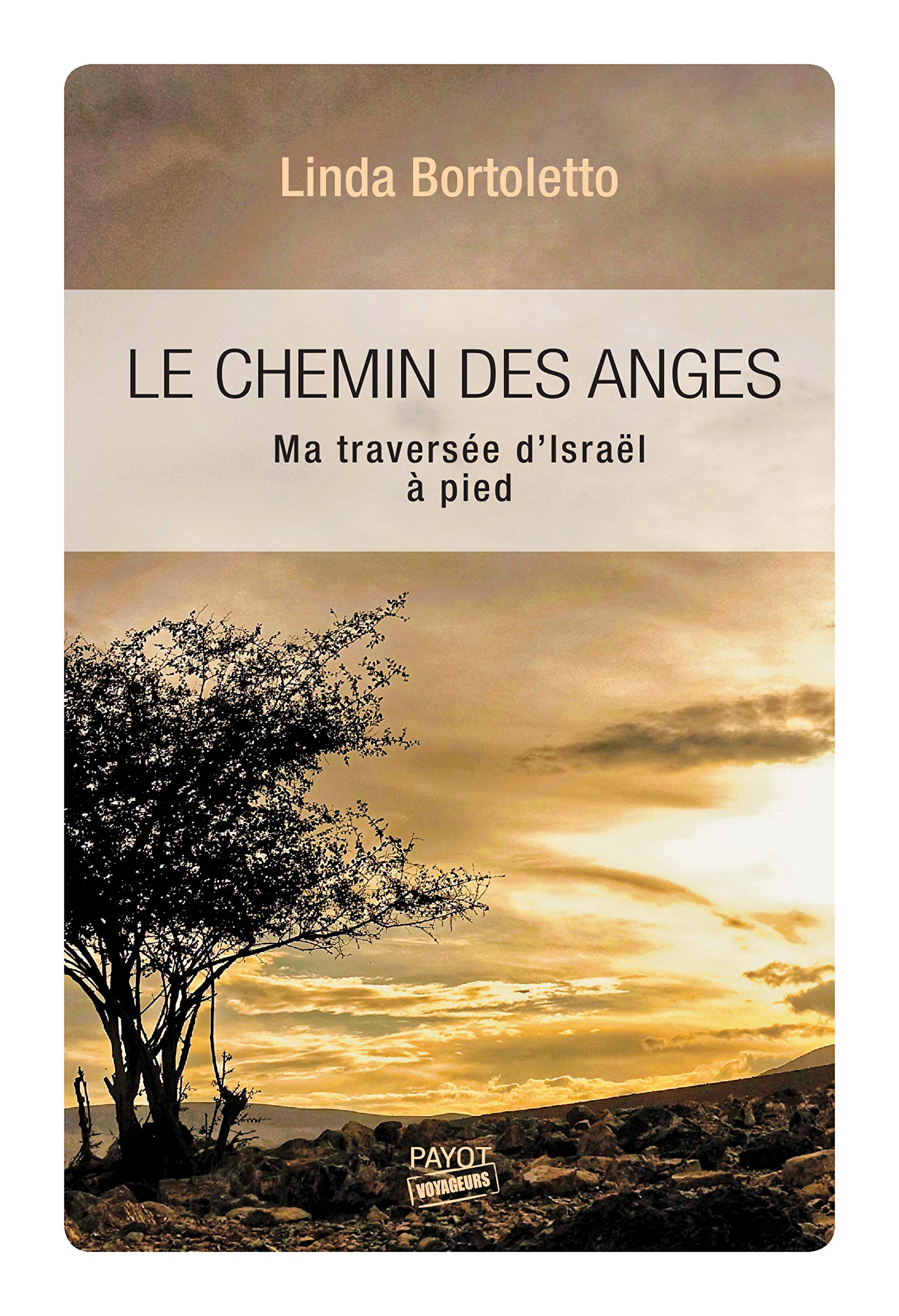 Le Chemin des anges: Ma traversée d'Israël à pied (Voyageurs Payot) (French Edition)