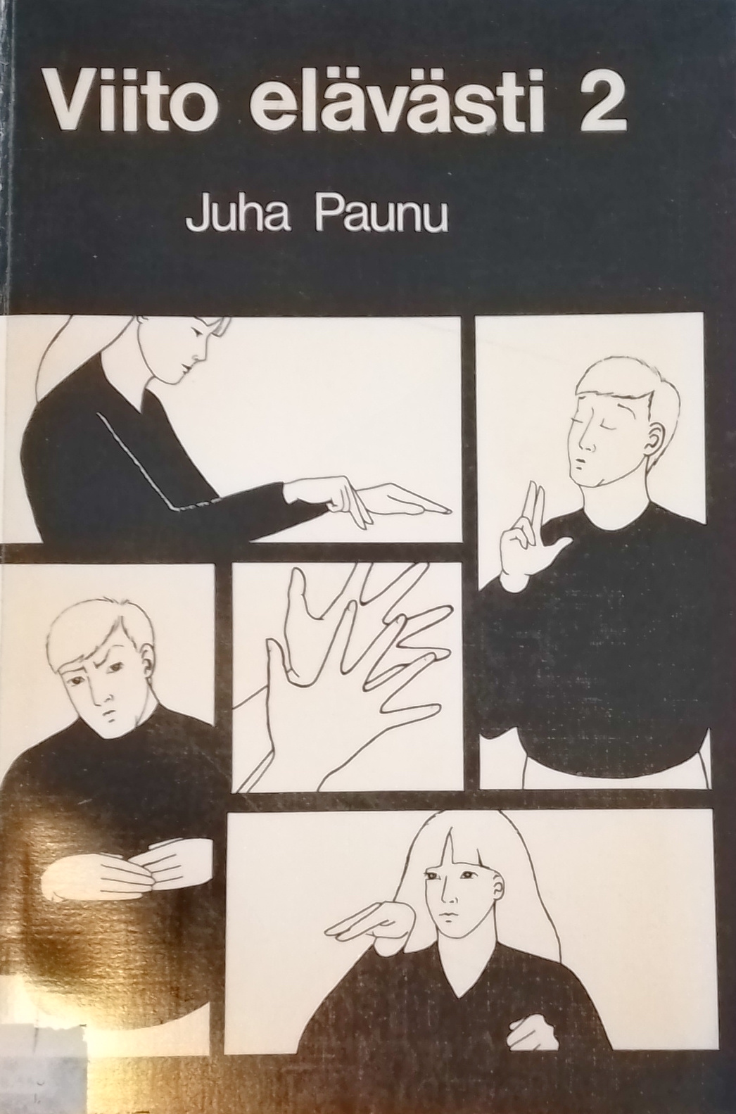 Viito elävästi 2 (Paperback)