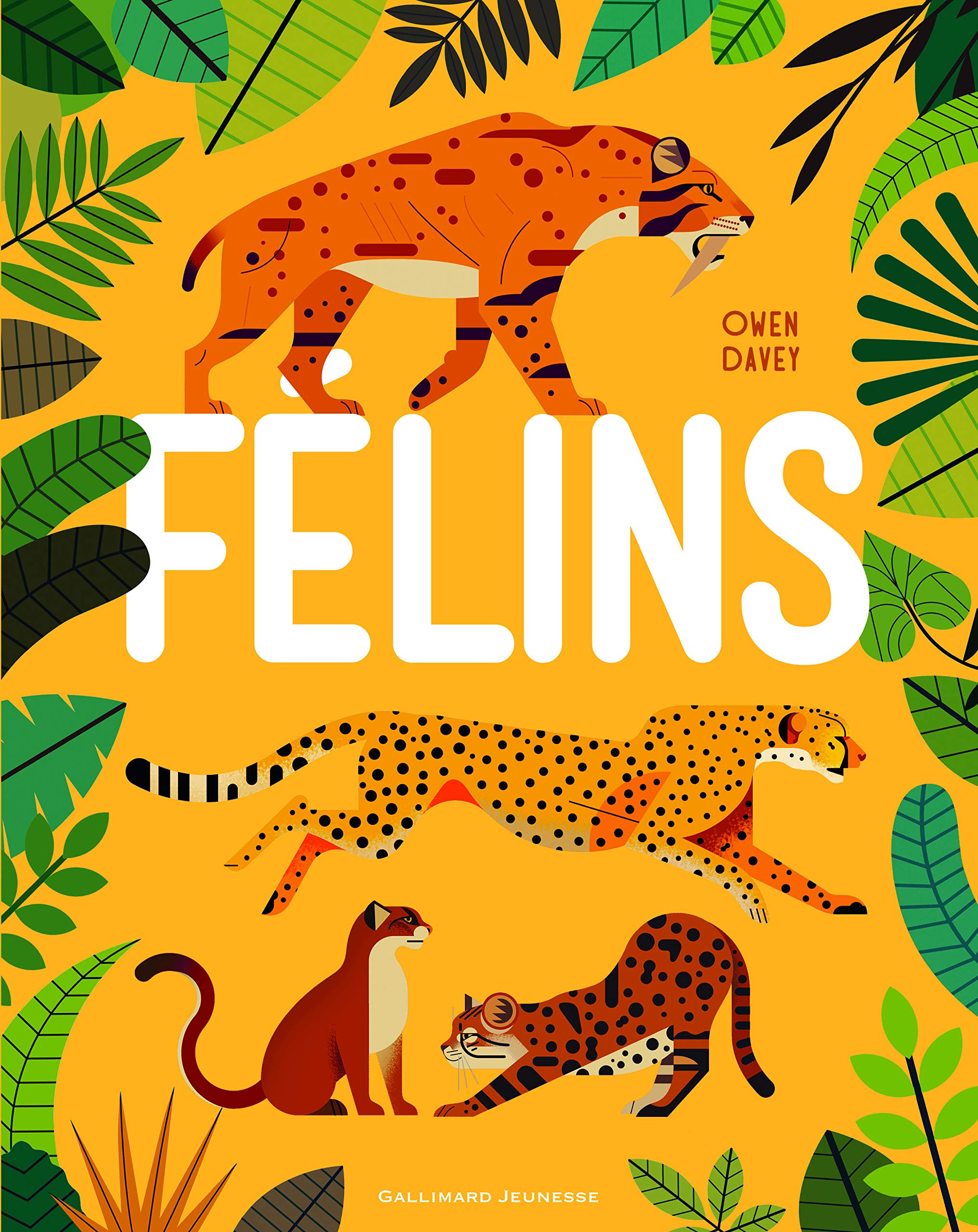 Félins (Hardcover)