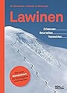 Lawinen: Erkennen...
