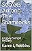 Secrets Among The Shamrocks: A Casey Stengel Mystery