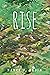 Rise