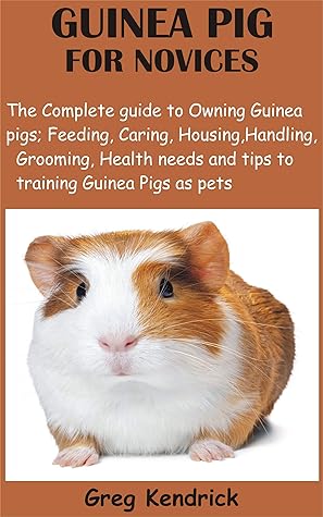 guinea pig feeding guide