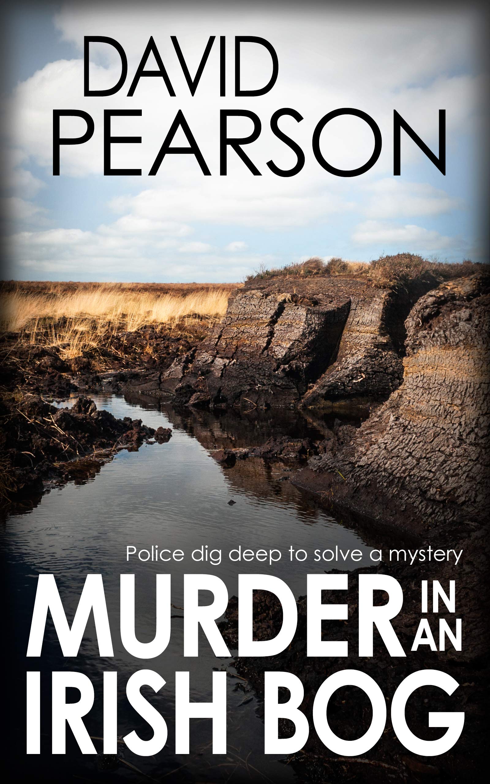 Murder in an Irish Bog (Galway Homicide: Hays & Lyons #11)