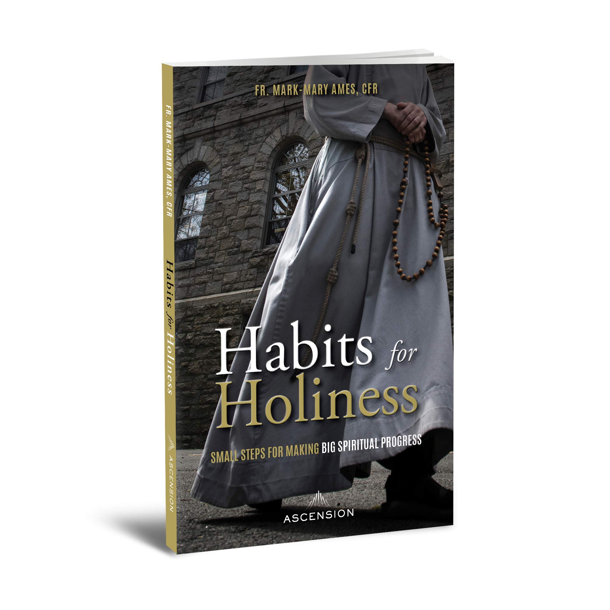 Habits for Holiness: Small Steps for Making Big Spiritual Progress (Paperback)