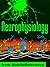 Neurophysiology Study Guide...