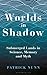 Worlds in Shadow: Submerged Lands in Science, Memory and Myth