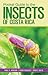 Pocket Guide to the Insects of Costa Rica (Zona Tropical Publications / Antlion Media)