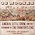 38 Nooses: Lincoln, Little Crow, and the Beginning of the Frontier's End