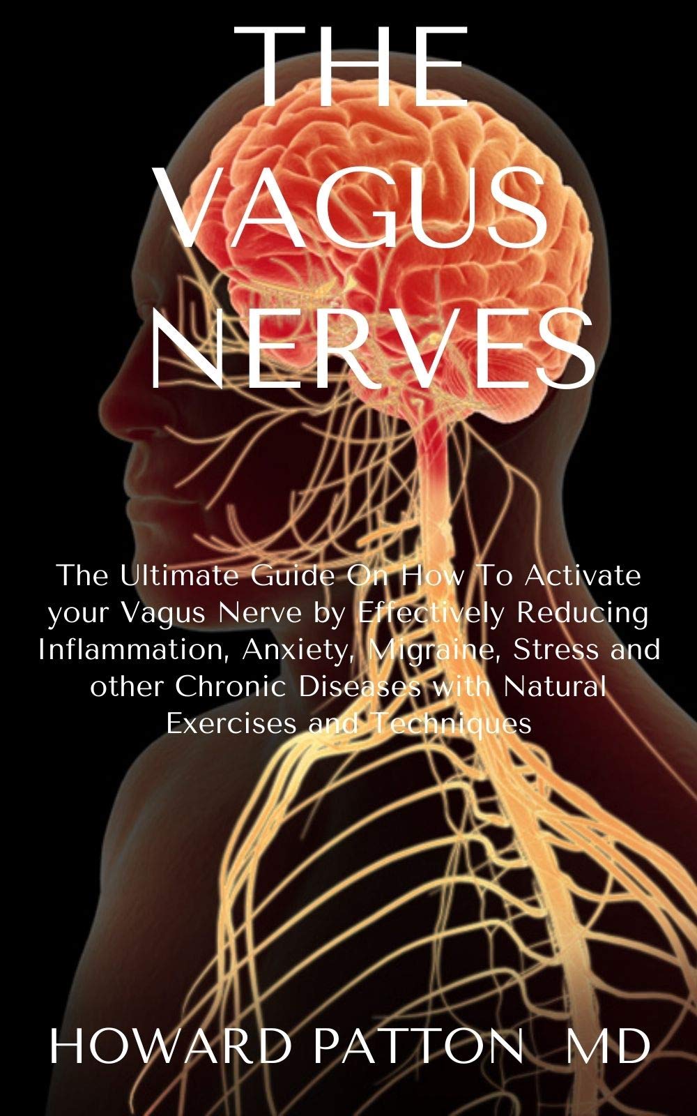 VAGUE NERVES : An Explanatory Guide To Balance Your Inflammation And Immunity (Kindle Edition)