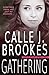 Gathering (PAVAD: FBI Romantic Suspense, #11)