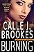 Burning (PAVAD: FBI Romantic Suspense, #10)