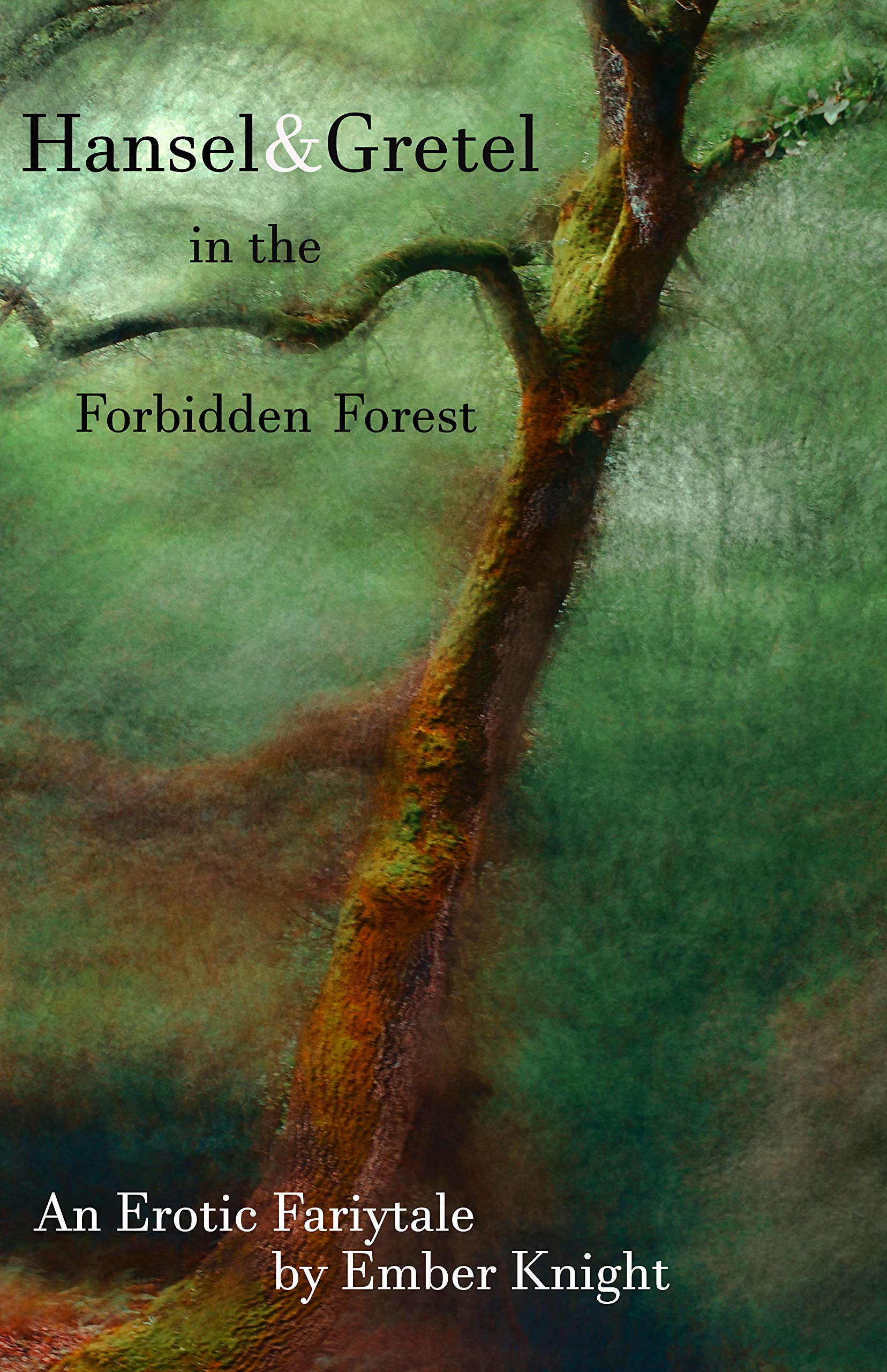 An Erotic Fairytale :Hansel & Gretel In the Forbidden Forest (Erotic Fairytales & Adult Bedtime Stories Book 2)
