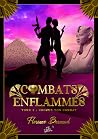 Combats Enflammés...