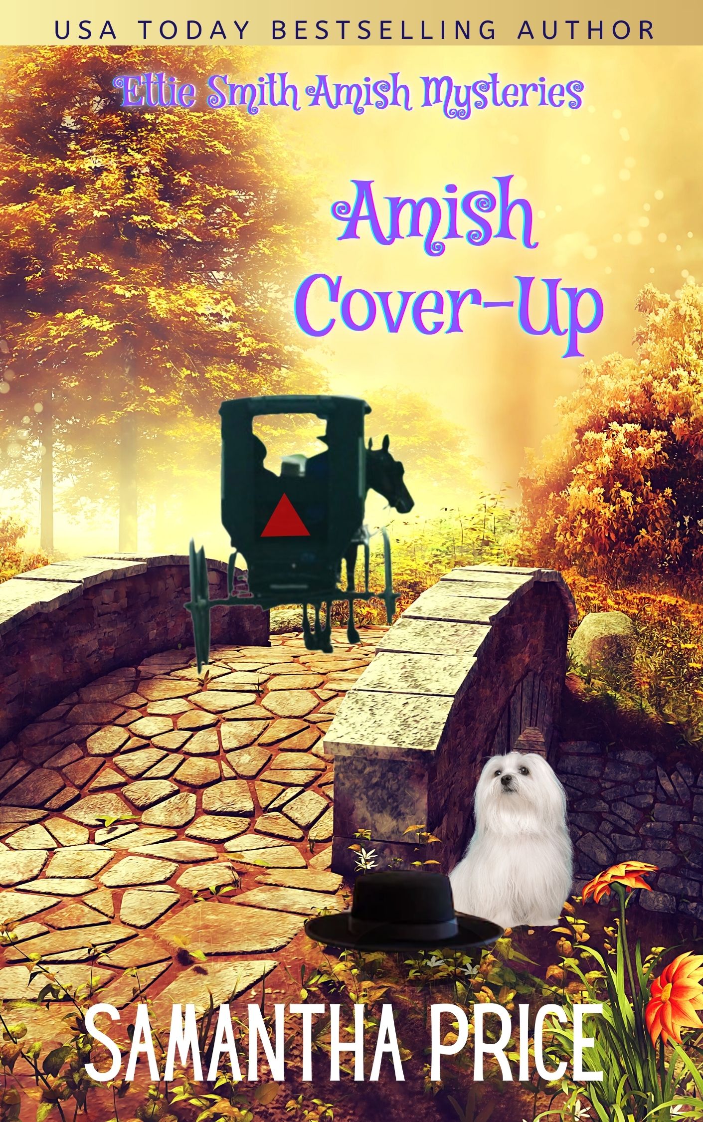Amish Cover-Up (Ettie Smith Amish Mysteries #13)