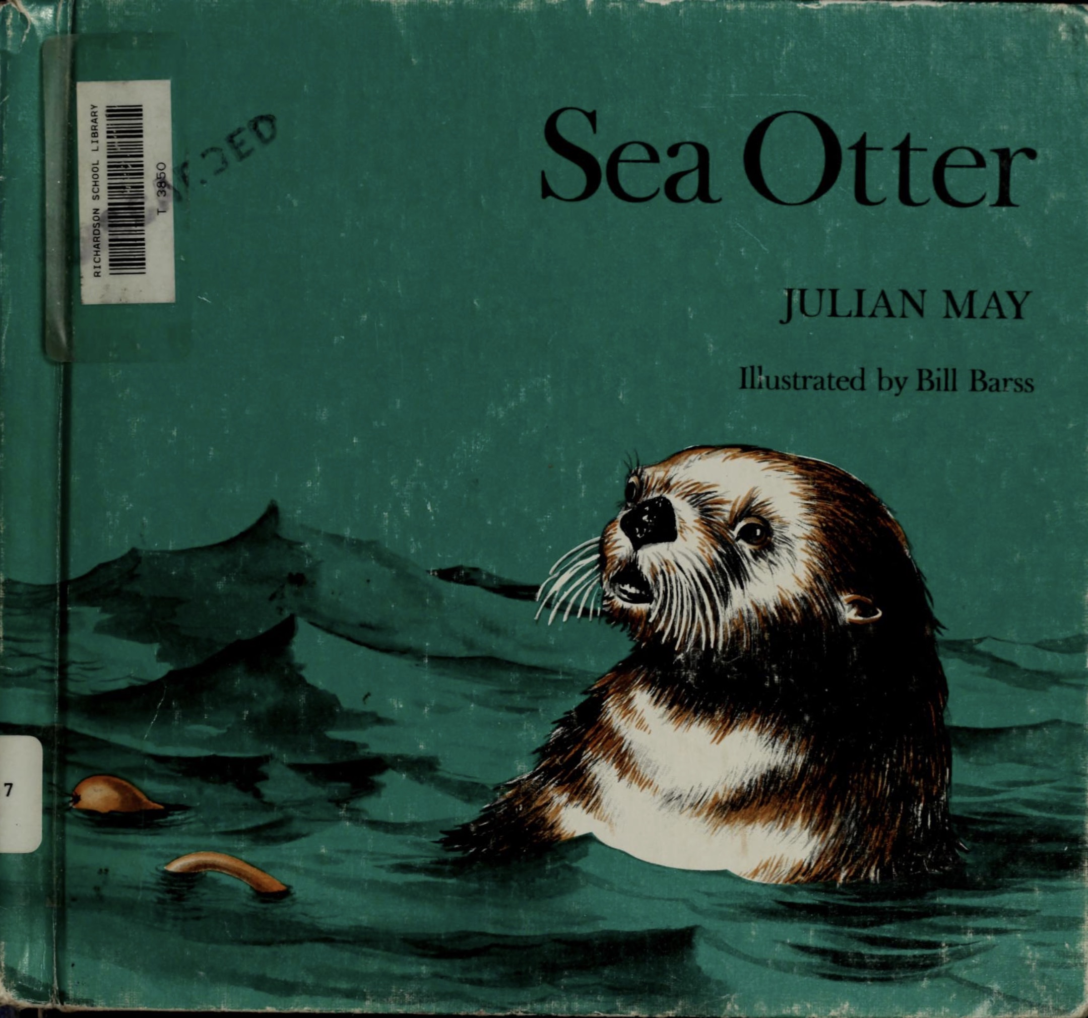 Sea Otter