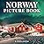 Norway Picture Book: 100 Be...