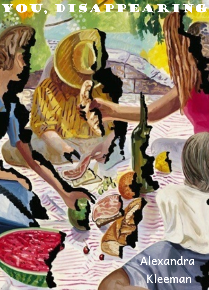 You, Disappearing (ebook)