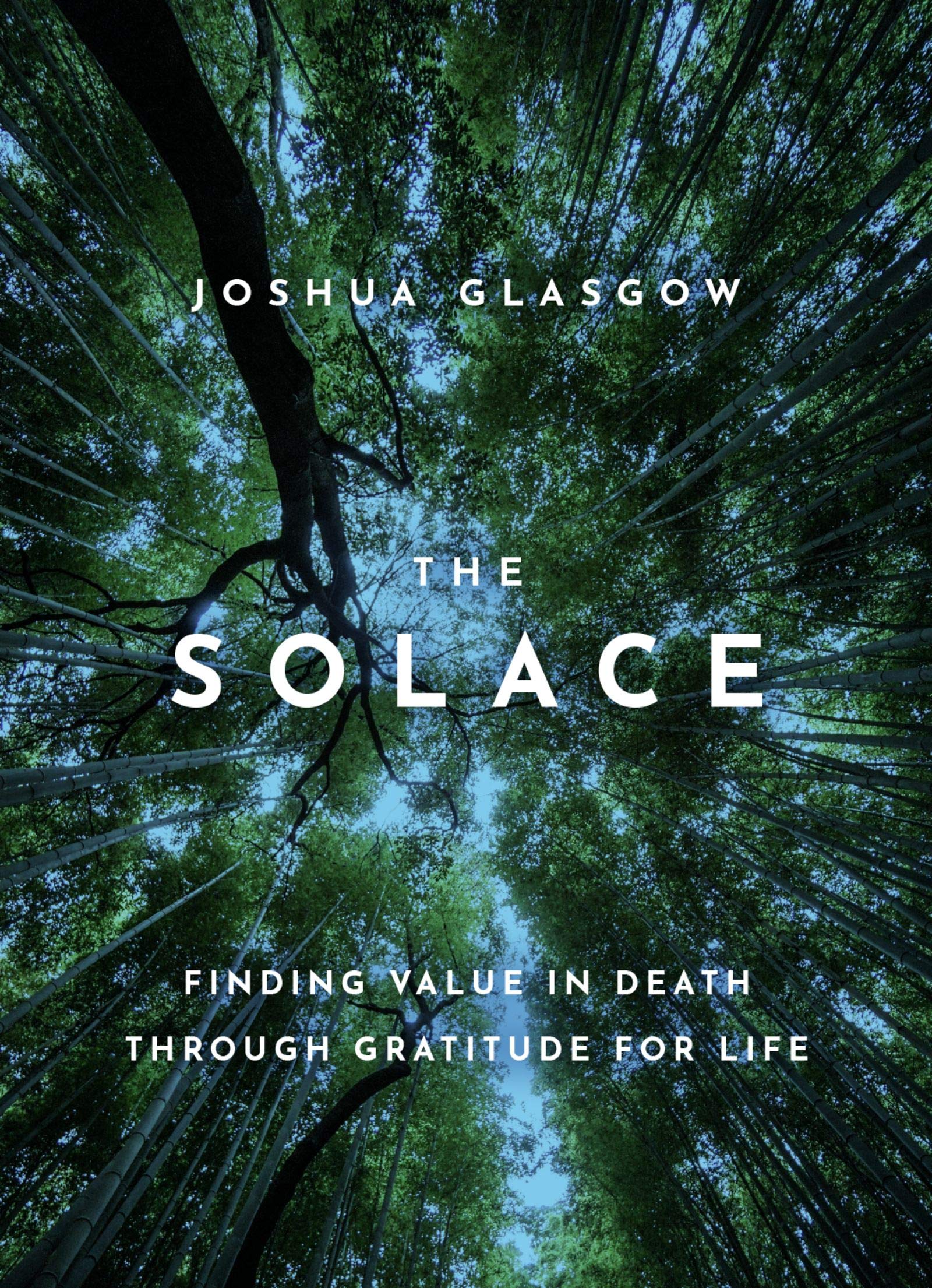 The Solace: Finding Value in Death through Gratitude for Life (Kindle Edition)