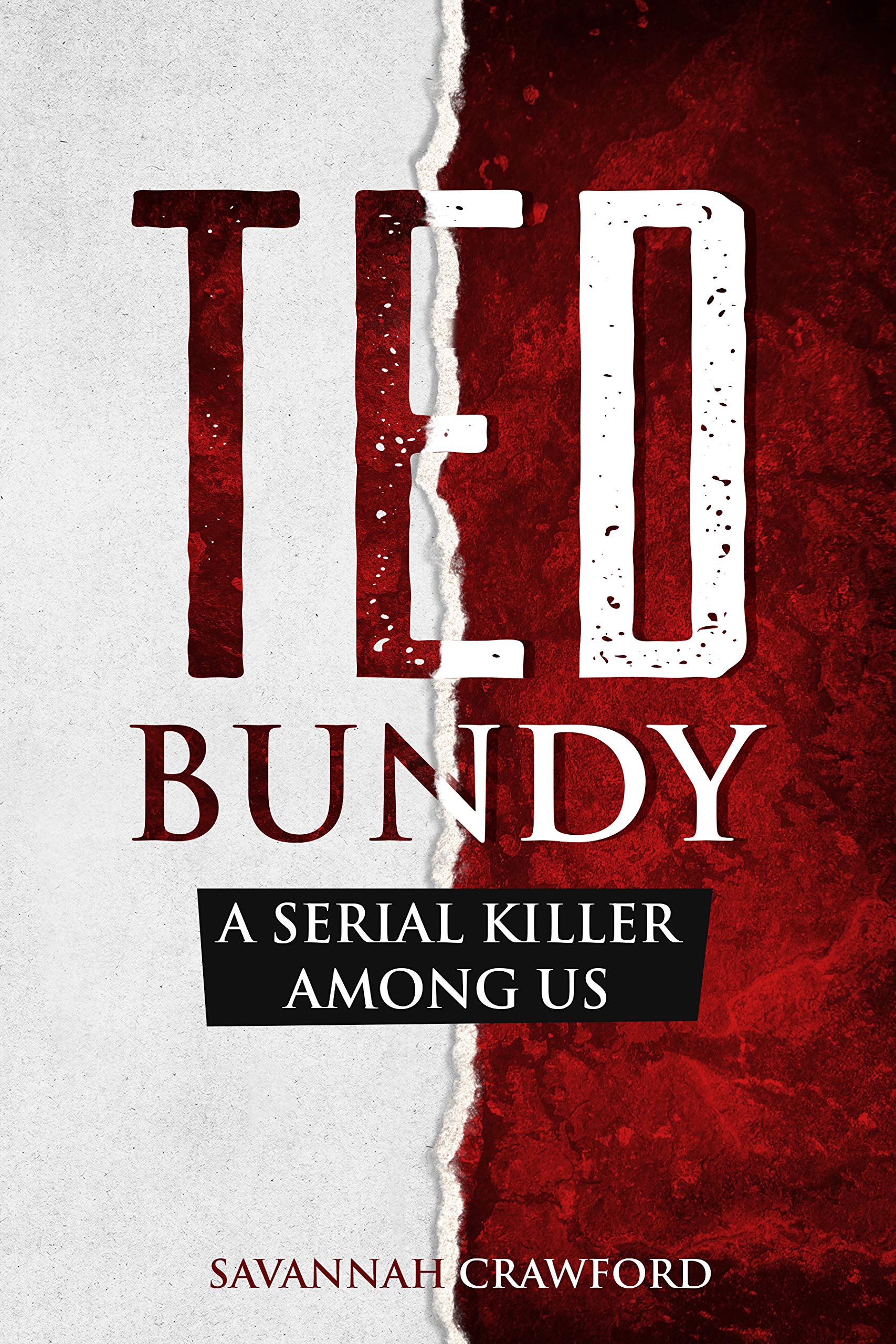 Ted Bundy: A Serial Killer Among Us (Kindle Edition)