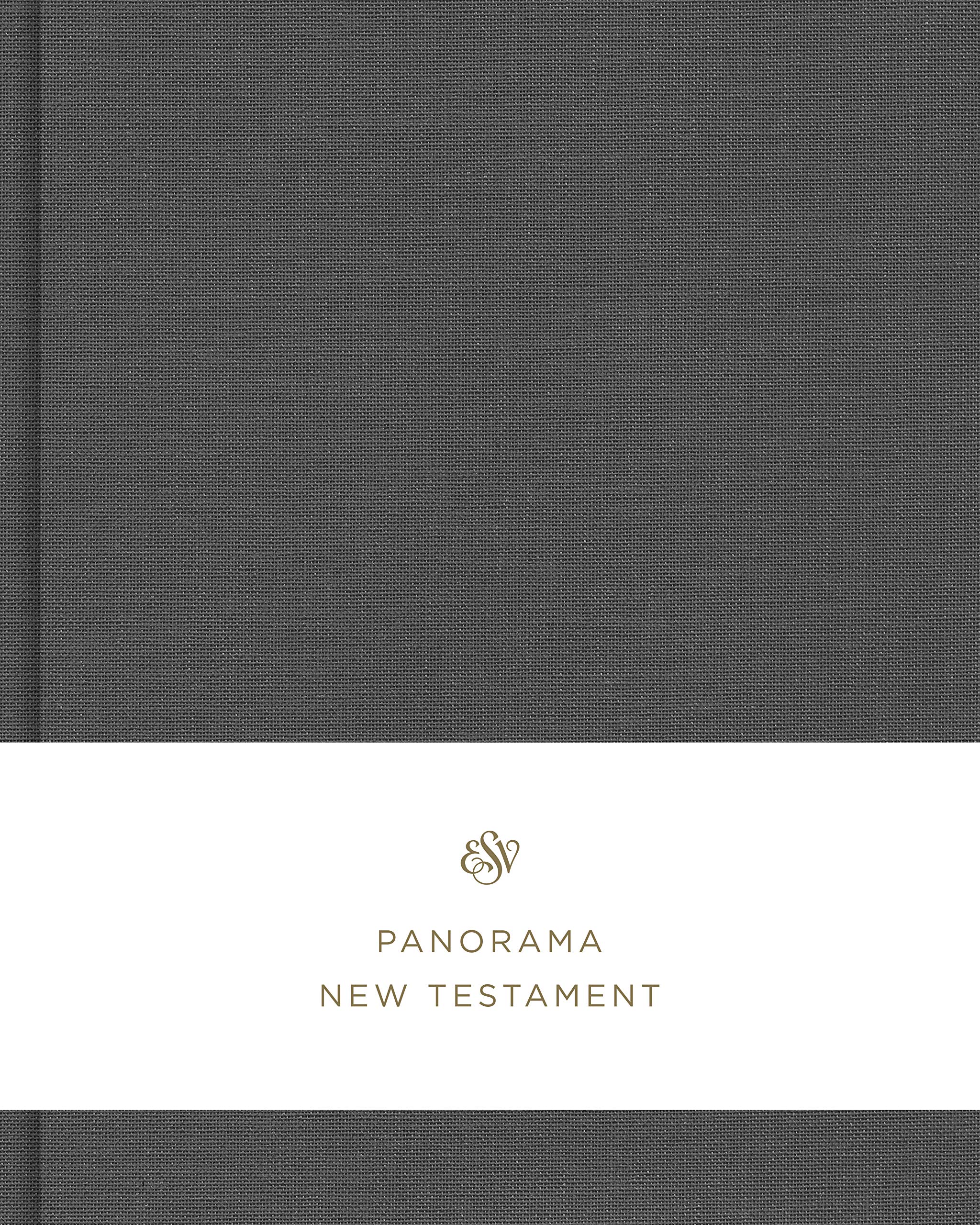 ESV Panorama New Testament