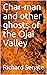 Char-man and other ghosts o...