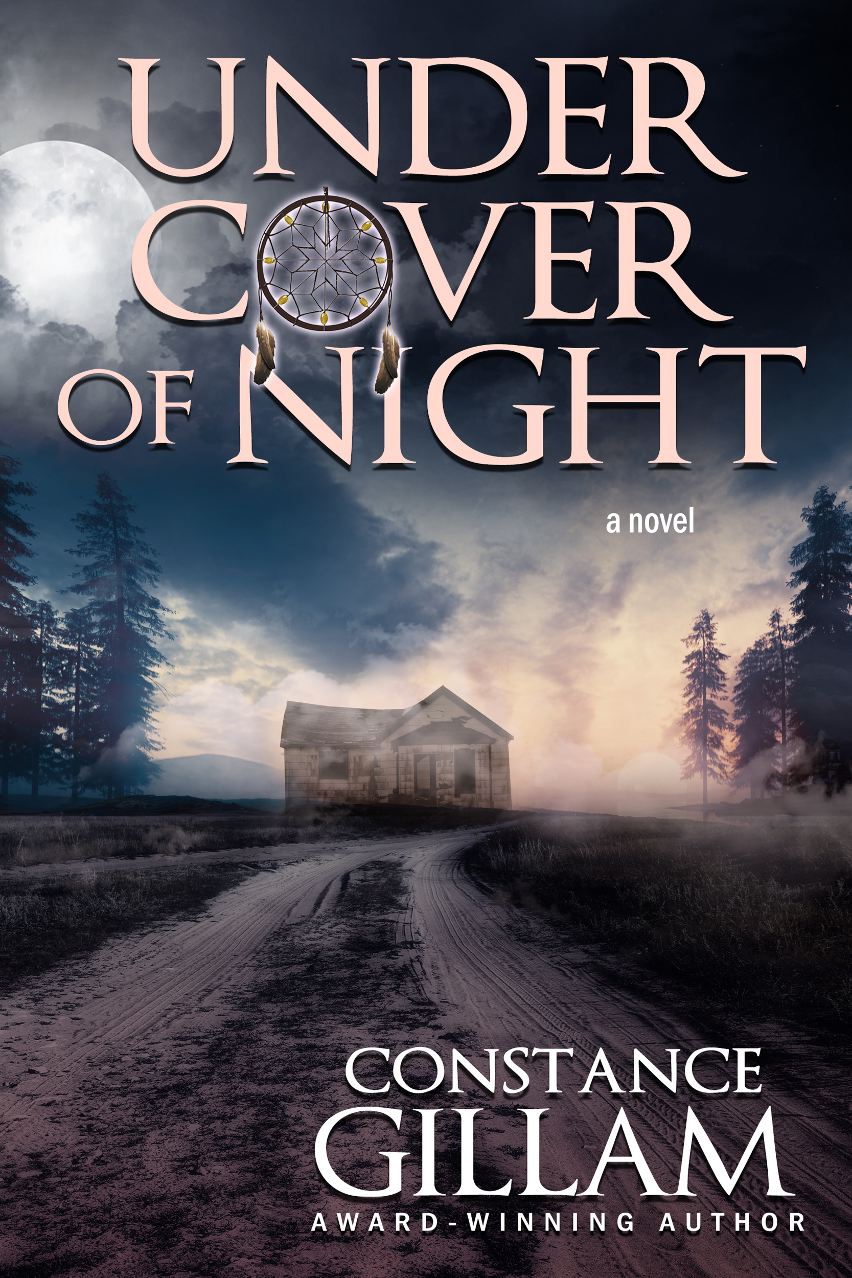 Under Cover of Night (ebook)