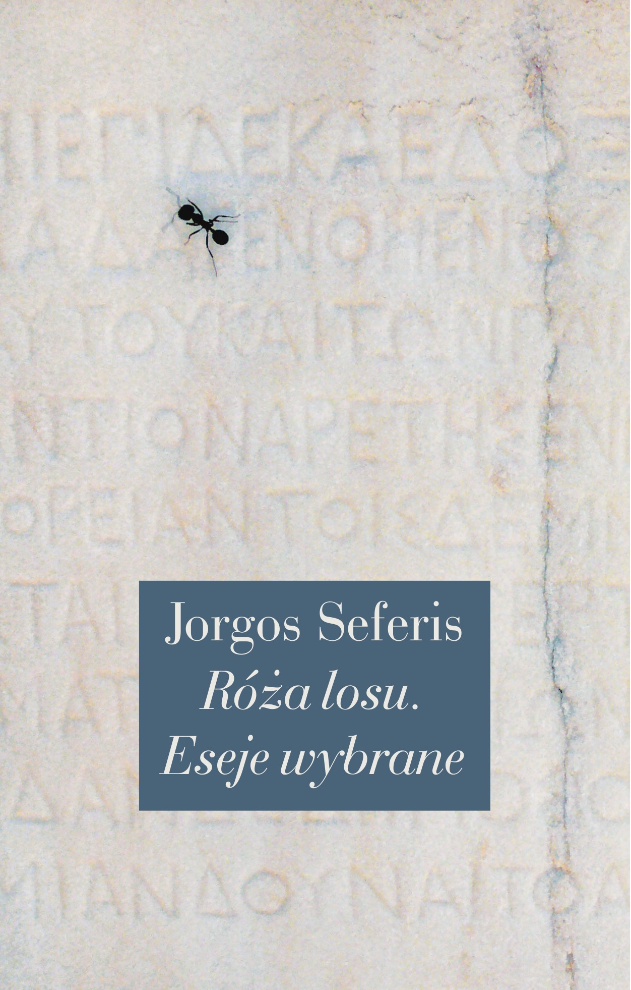 Róża losu. Eseje wybrane