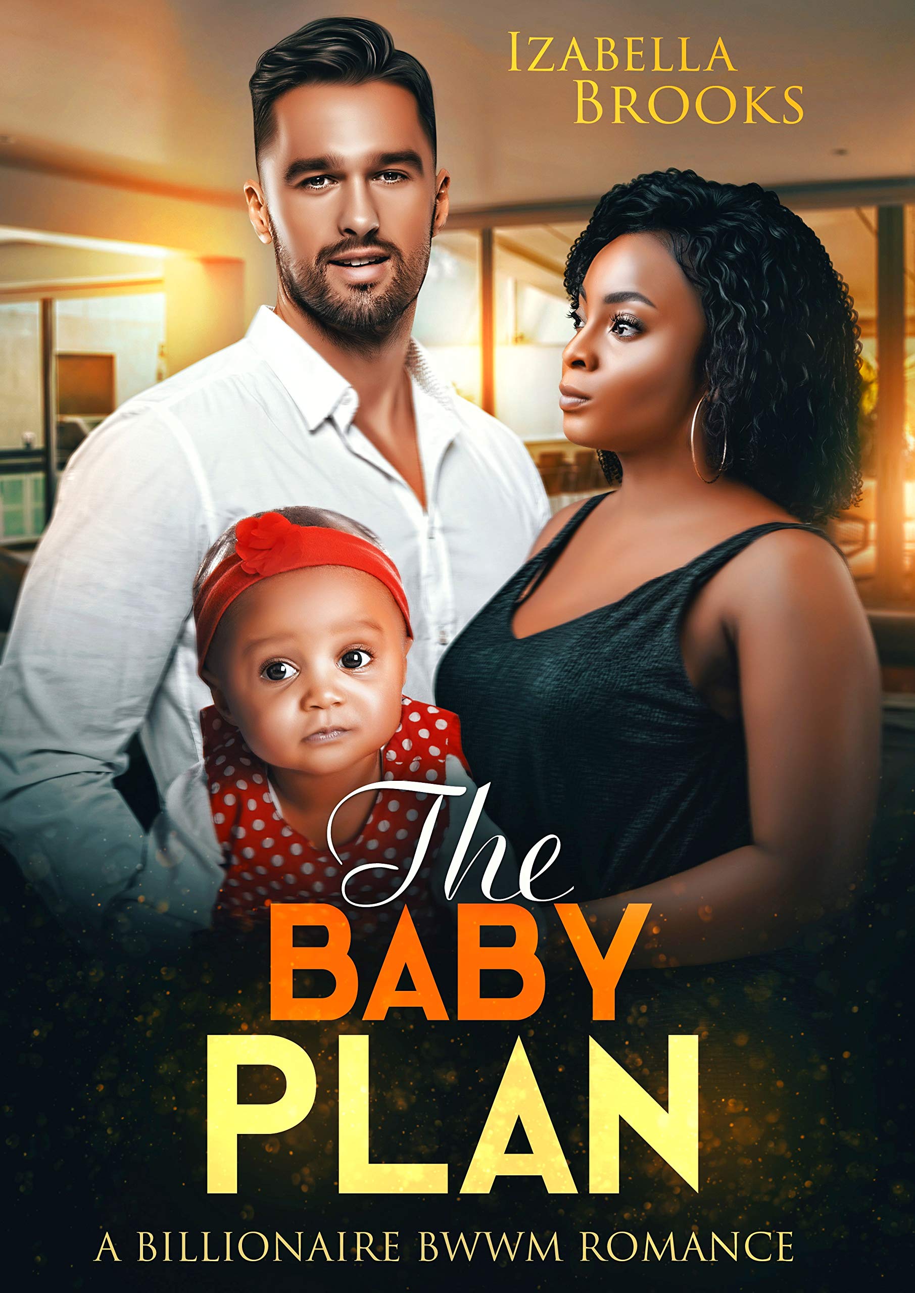The Baby Plan (Kindle Edition)