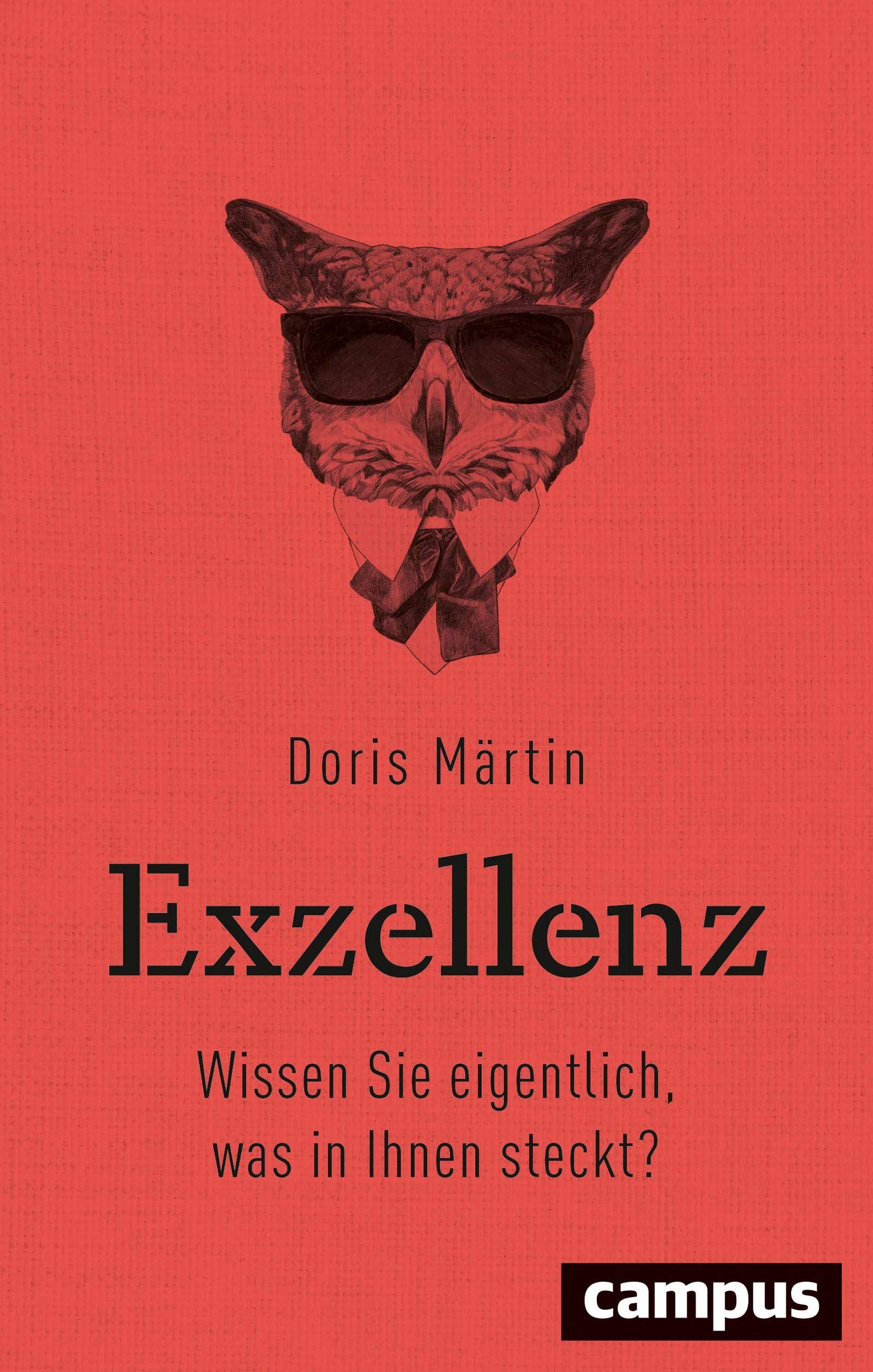 Exzellenz: Wissen Sie eigentlich, was in Ihnen steckt? (German Edition)