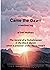 Came the Dawn: The Diary of...