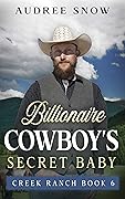 Billionaire Cowboy's Secret Baby, Book 6
