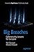 Big Breaches: Cybersecurity...