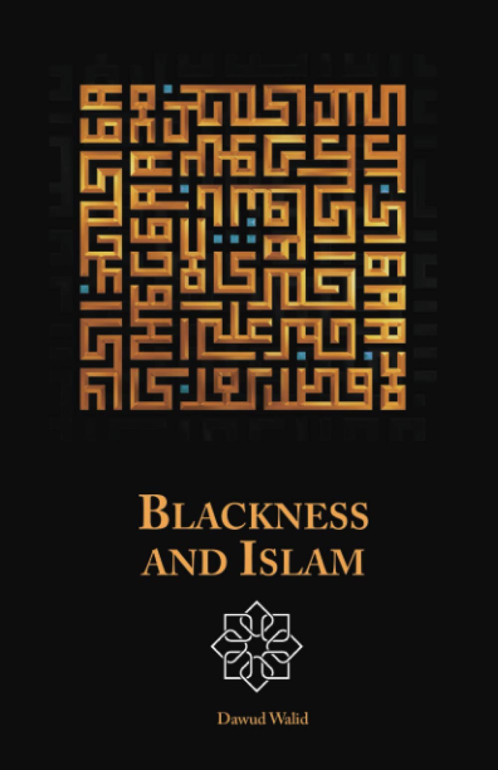 Blackness and Islam (Paperback)