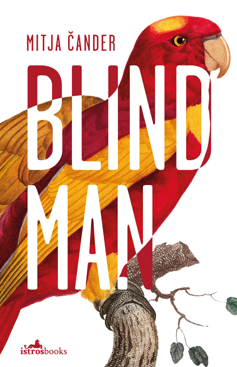 Blind Man (Paperback)