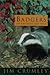Badgers on the Highland Edge