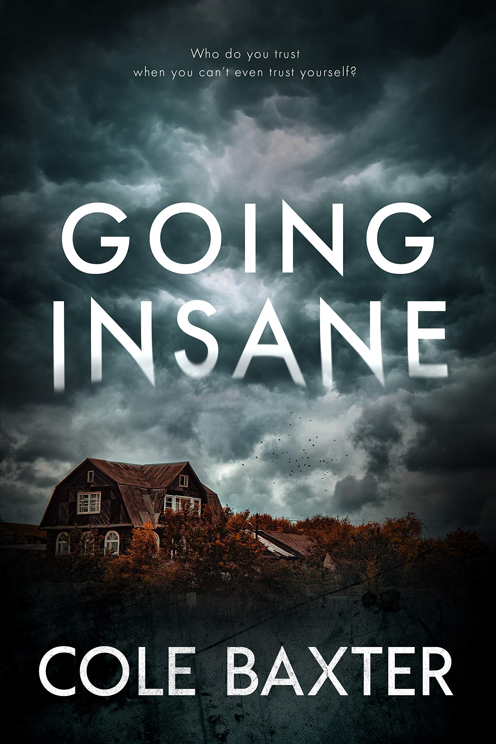 Going Insane (Kindle Edition)