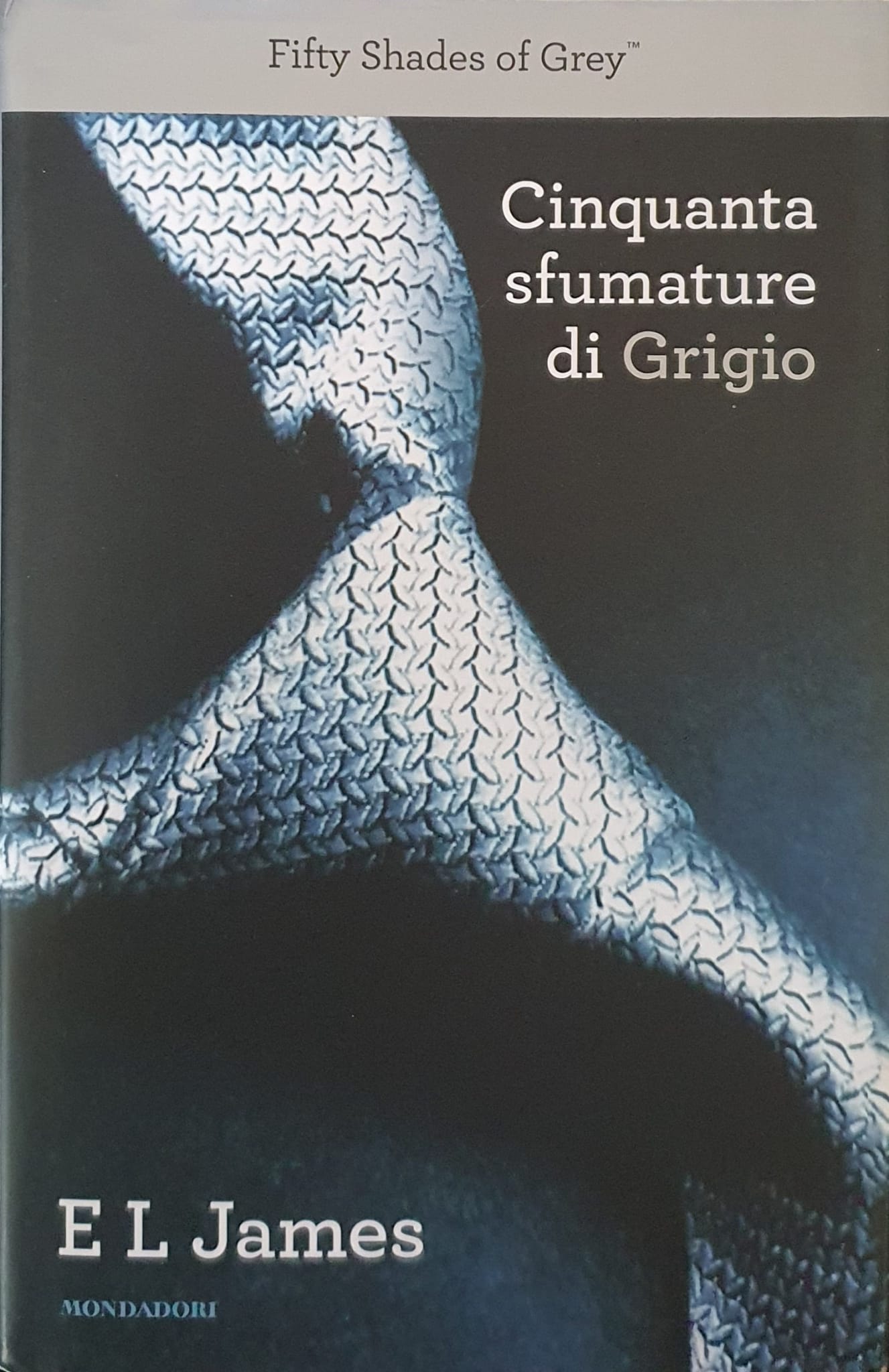 Cinquanta sfumature di grigio (Fifty Shades, #1)