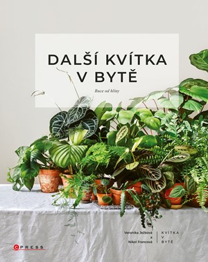 Další kvítka v bytě: Ruce od hlíny (Hardcover)