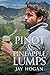 Pinot & Pineapple Lumps (Southern Lights #4) by Jay Hogan