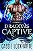 Dragon's Captive by Kara Lockharte