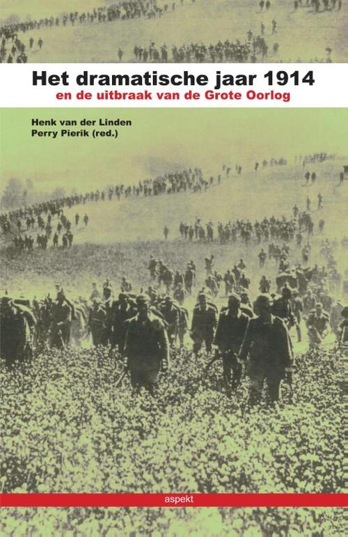 Het dramatische jaar 1914 en de uitbraak van de Grote Oorlog (Paperback)
