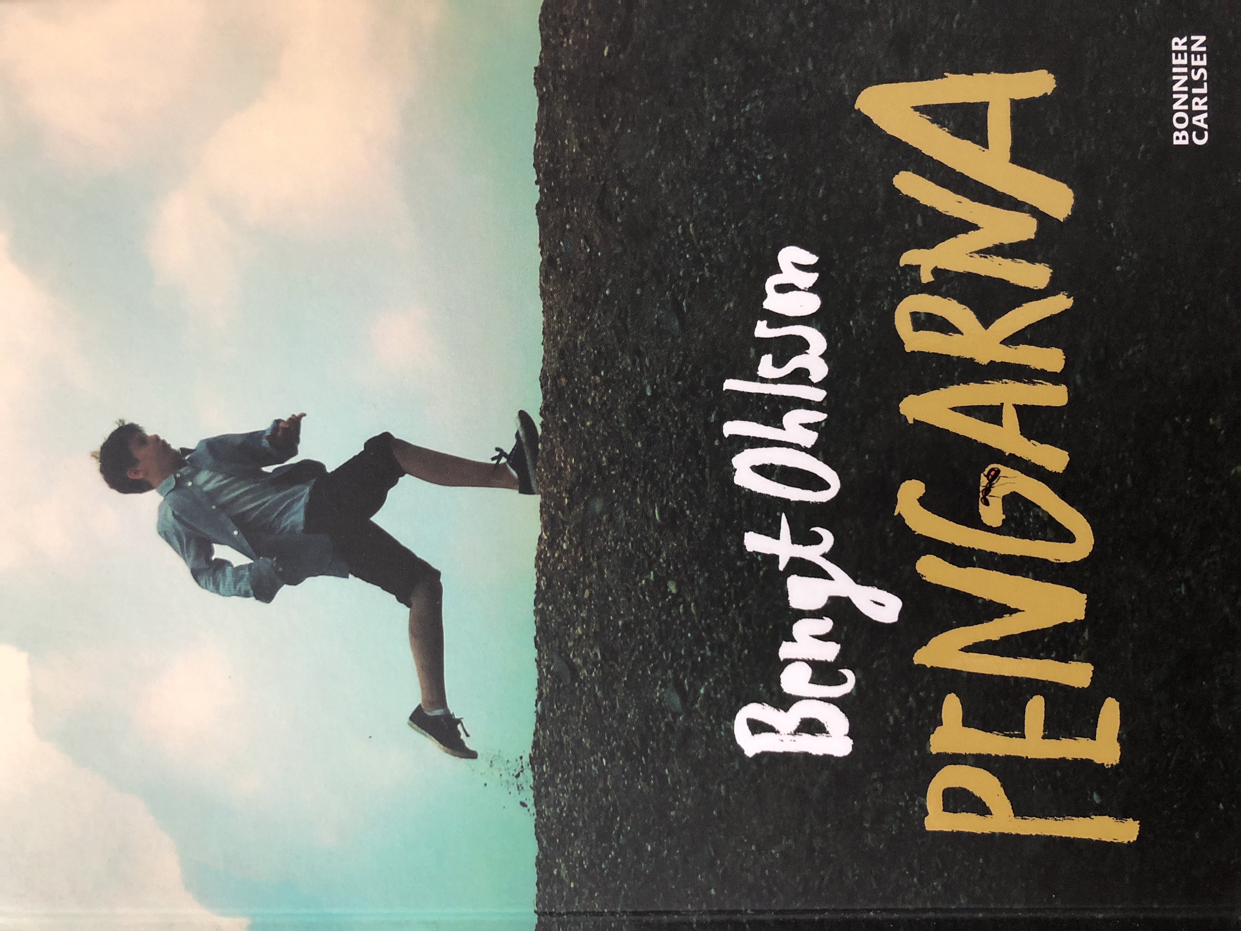 Pengarna (Hardcover)