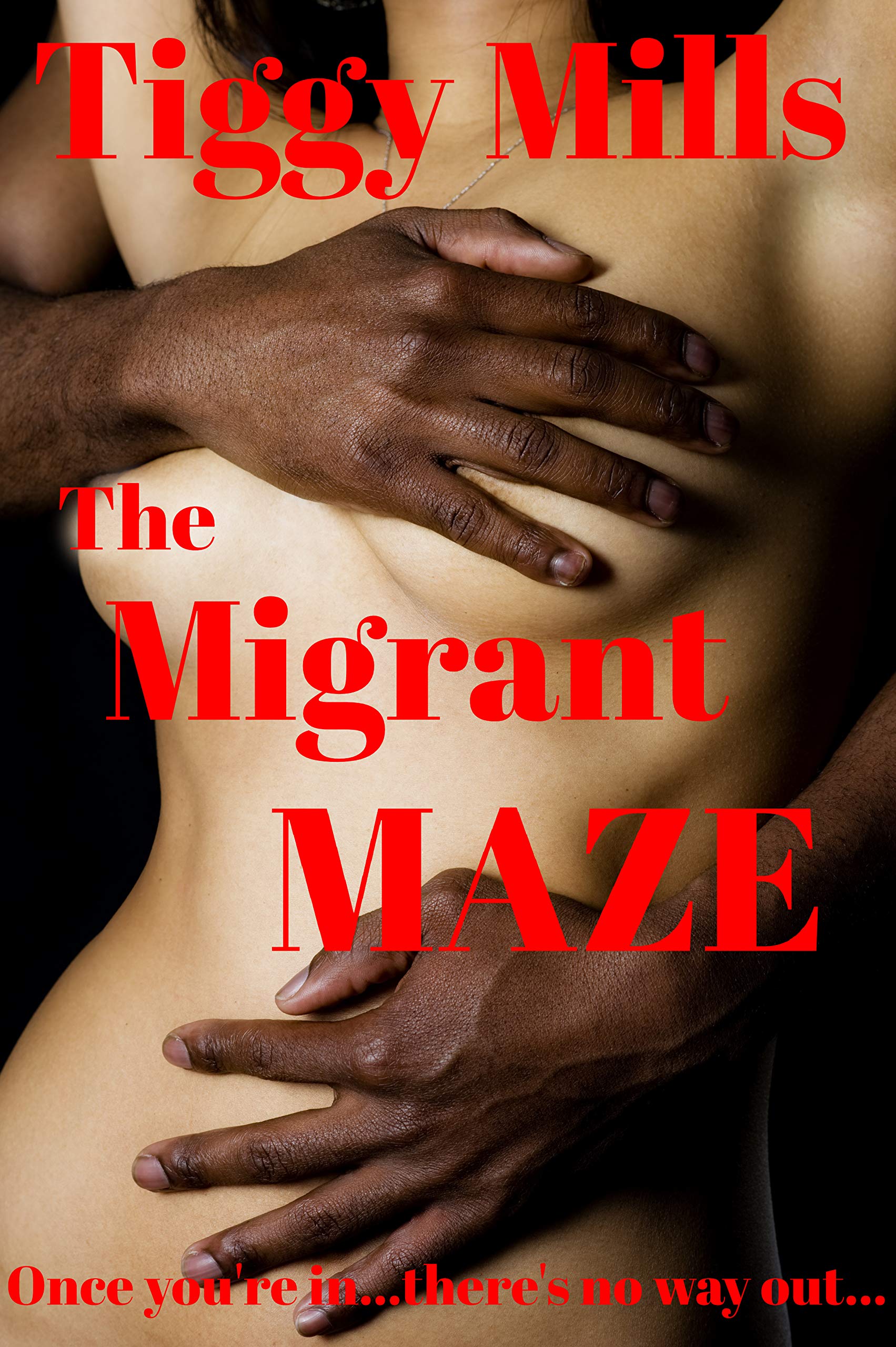 The Migrant Maze: Once you're in...there's no way out... (Kindle Edition)