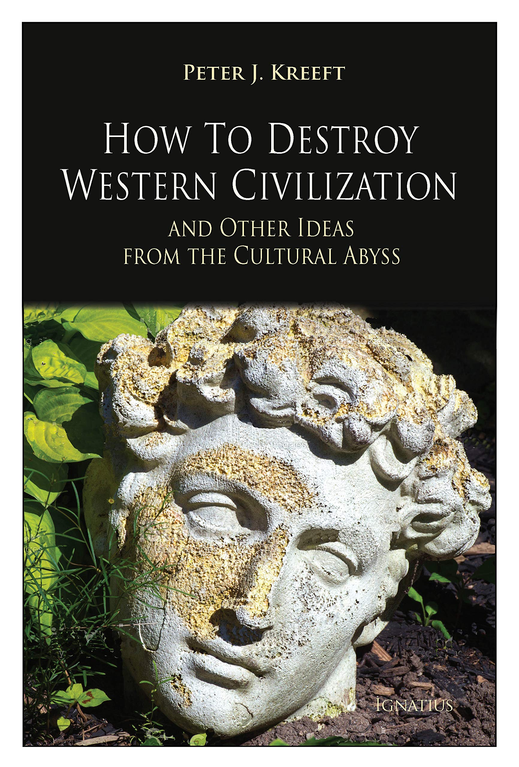 How to Destroy Western Civilization and Other Ideas from the Cultural Abyss (Kindle Edition)