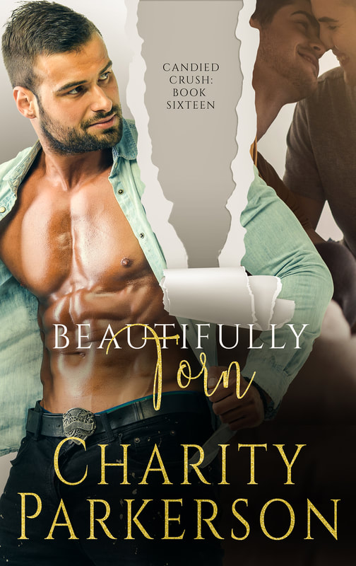 Beautifully Torn (Candied Crush #16)